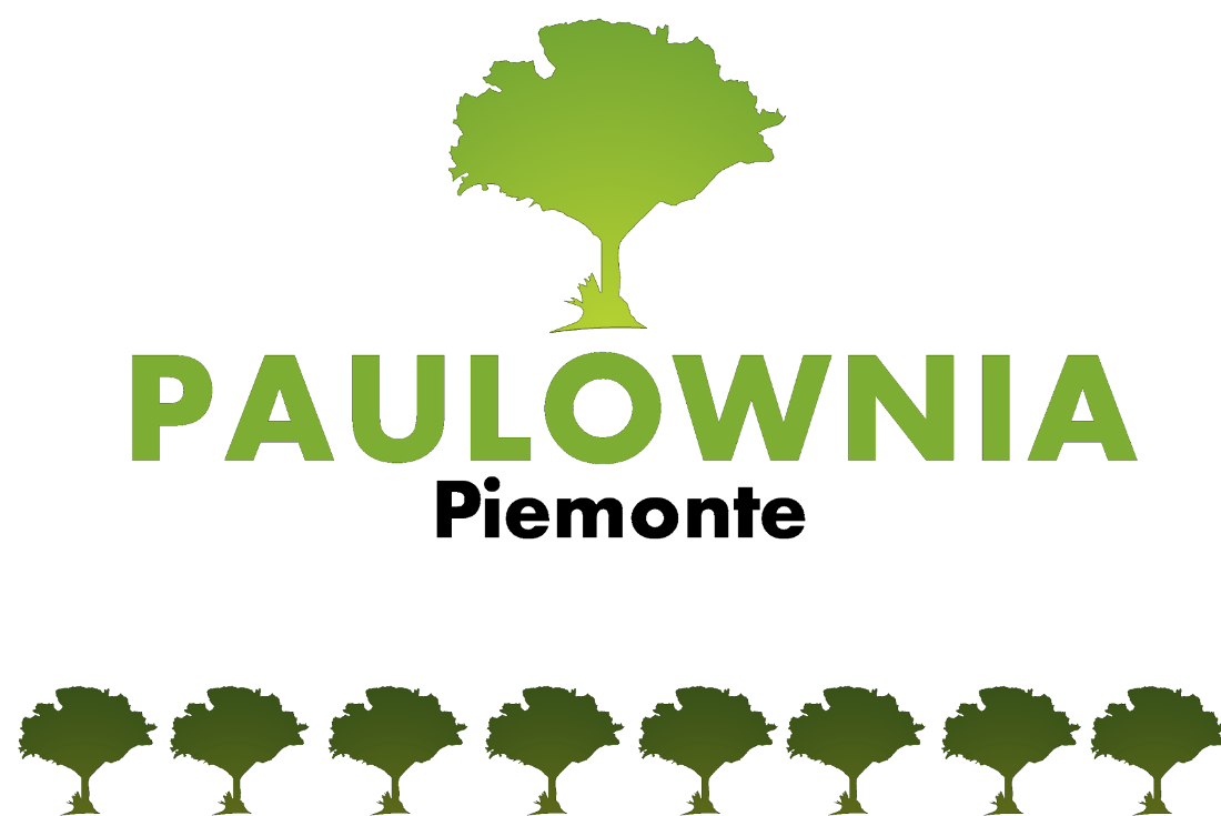 Paulownia Piemonte