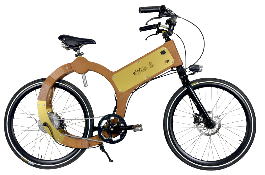 wood e-bike