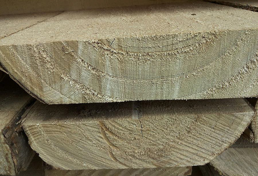 Paulownia legno leggero